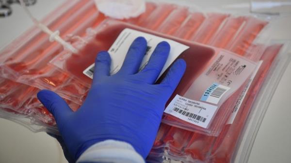 'Immune cells are isolated from blood, trained in a lab to be able to recognise cancerous cells and reinfused into the patient as a 'living drug', wher<em></em>e they can seek and destroy cancer.' Photo: Gerard Julien/AFP via Getty Images