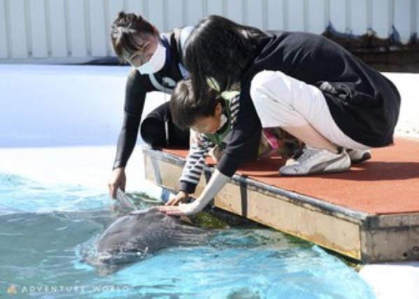 “梦之夜”计划让残疾儿童在日本动物园享受乐趣