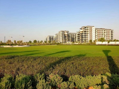迪拜房产资讯：2024年1月迪拜房产的租赁交易量猛增400%