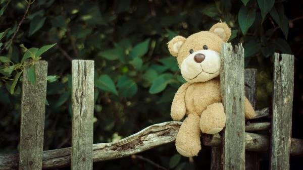 'Teddy bears' seek to keep the peace and smooth things over. Photo: Marina Shatskih/Unsplash