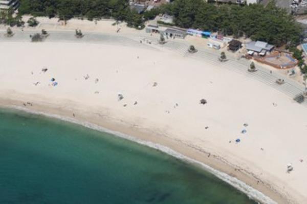 民意调查：81%的人担心日本南开海槽地震后的大地震