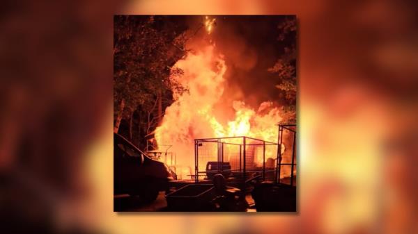 “我们失去了一切：北乔治亚动物保护区被大火吞噬