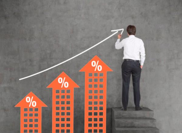 Negative Gearing — Slug Greedy Property