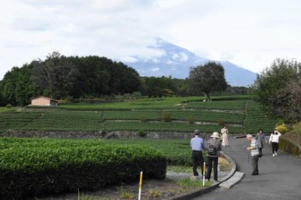 在日本中部的一个旅游景点，无论晴雨，都能看到富士山清晰的合成照片