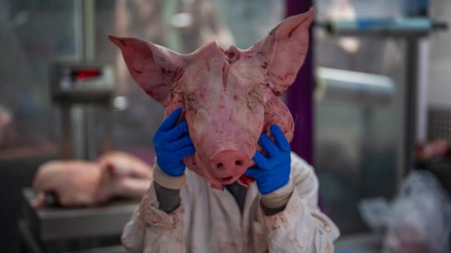 肉和问候：历史悠久的伦敦市场倒数数年