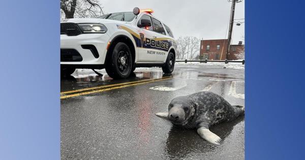 教皇方济各健康状况：教皇显示出双侧肺炎的迹象