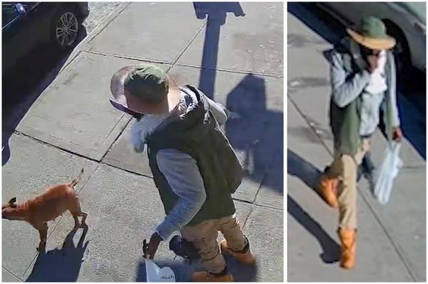 【纽约惊魂】恶徒砍断狗主手指后逃逸，皇后区肇事落网！