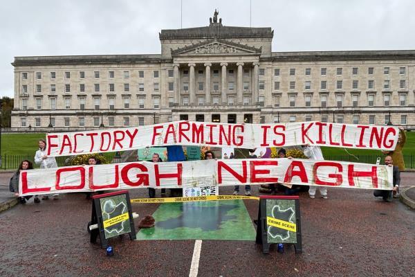 北爱尔兰环境灾难引爆舆论：内伊湖沦为“犯罪现场”，政府被指失职！