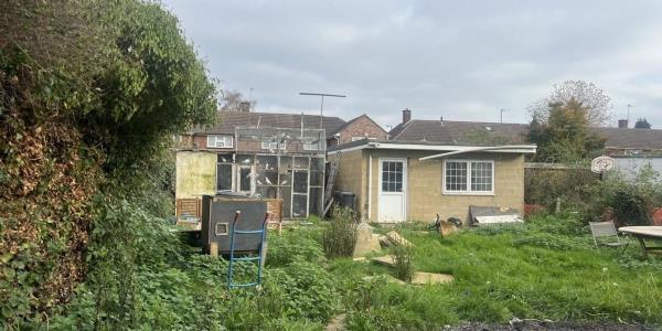 夫妻私盖鸽舍养百只鸽子，遭天价罚单！