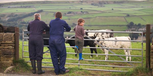 工党遗产税政策引发混乱，超6000家农场被迫关门