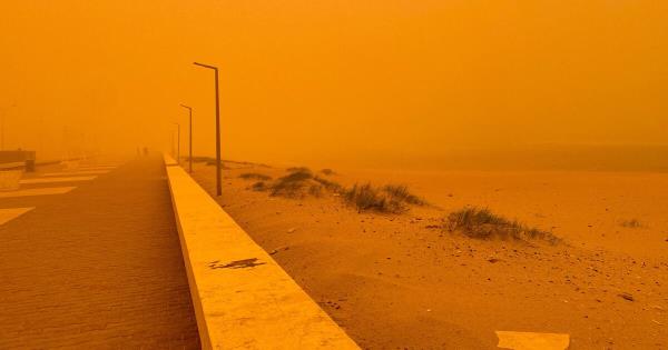 一月最佳影像集锦：班加西沙尘暴与马普托洪灾震撼瞬间