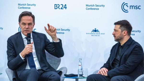 北约高官自曝与爱犬私聊，引发网友热议